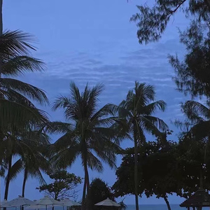 超级大鸡巴捅逼视频
