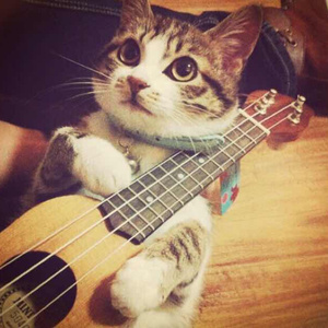 超级大鸡巴捅逼视频
